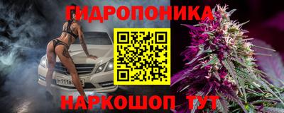 бошки Тверь