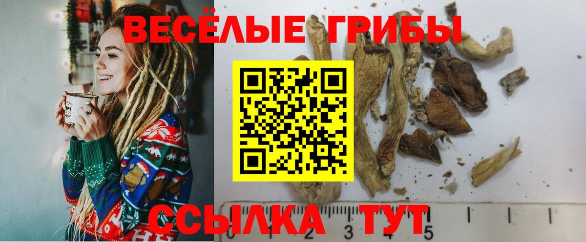 Псилоцибиновые грибы Magic Shrooms Мытищи